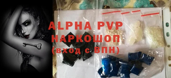 прущие грибы Вязники