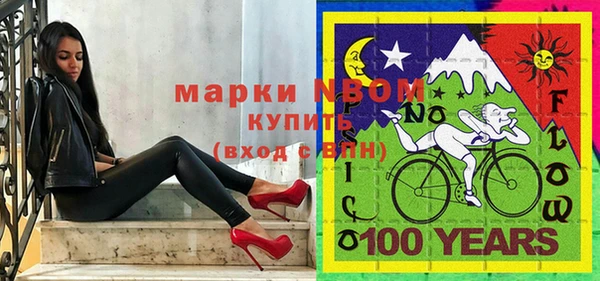 прущие грибы Вязники