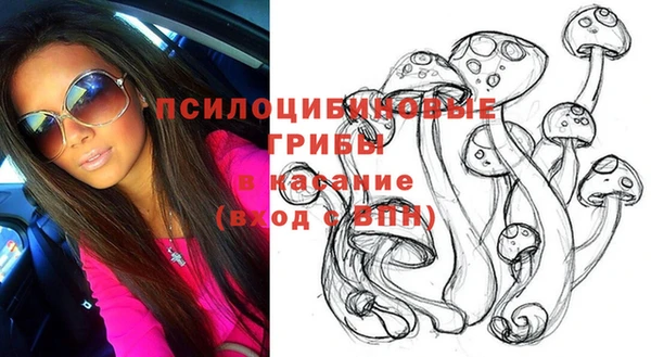 прущие грибы Вязники