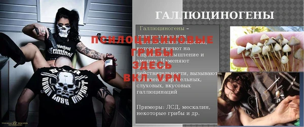 прущие грибы Вязники