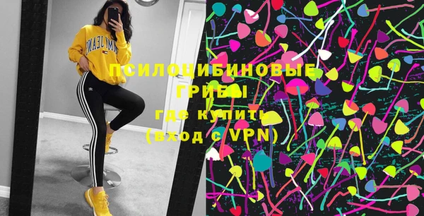 прущие грибы Вязники